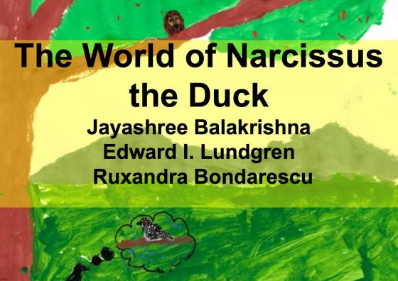 Common Birds of Uncommon Talent: the World of Narcissus the Duck