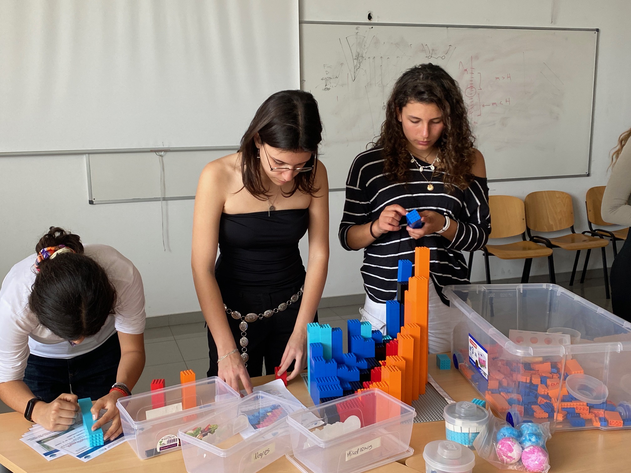 Taller "Bloc Enllaçats" de creació d'una taula de Segrè amb peces de LEGO